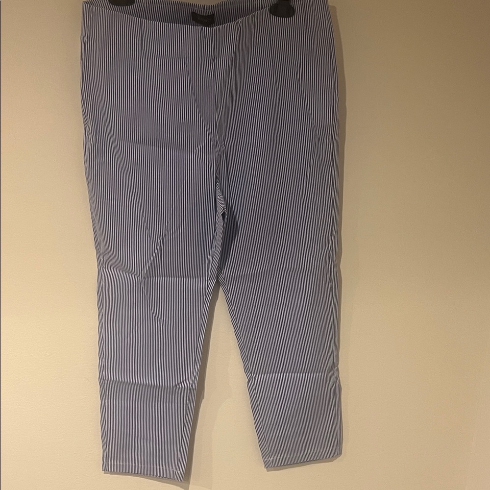 Crosby Women's Blue Striped Pants